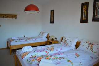 Гостевой дом Guest House Sema Банско Двухместный номер с 1 кроватью и балконом-12